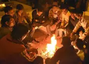 Gujarat Shivers: Naliya Hits 3.8°C, Becomes State's Coldest Spot