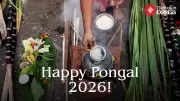 Happy Pongal 2026: Best Wishes, Quotes, WhatsApp Status, and Messages to Share