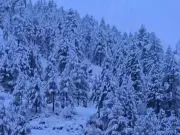 Heavy Snowfall Continues in Jammu & Kashmir, Srinagar-Jammu Highway Shut for Second Day