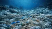 Hidden Ocean Crisis: Seafloor Becomes Permanent Dumping Ground for Plastic Waste