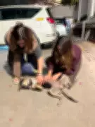 Hiya Chatterjee and Mother Bond with Kolkata's Famous Stray Dog Thumki