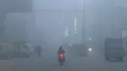 IMD Forecast: Cold Wave, Dense Fog to Grip North India on January 8