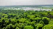 India Adds Patna Bird Sanctuary & Chhari-Dhand to Ramsar Network Ahead of World Wetlands Day