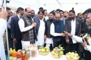 India's First Guava Festival Inaugurated in Sawai Madhopur, Aims to Boost Farmer Income