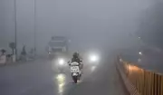 Indore Sees 2.7°C Temperature Drop, Dense Fog Disrupts Morning Visibility