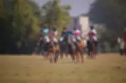 Jaipur Polo Season 2026: KogniVera Polo Cup Semifinals Set for Saturday