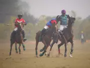 Jindal Bedla Polo Triumphs 9.5-5 Over Chandna, Extends Kognivera Cup Streak
