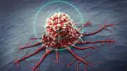KAIST Breakthrough: New CAR-Macrophage Therapy Converts Immune Cells Inside Tumors