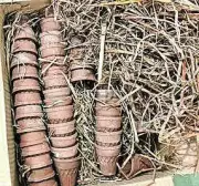 Kandhamal Hospital Bans Paper Cups, Switches to Eco-Friendly Clay Cups