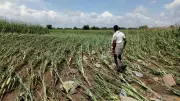 Karnataka Secures Second Place in National Crop Insurance Scheme Implementation