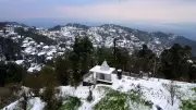 Kasauli Welcomes First Snowfall After 4-Year Wait, Boosting Tourism Hopes