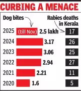 Kerala's New Stray Dog Feeding Plan: ABC Centres to Become Designated Feeding Spots