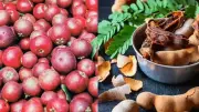 Kokum vs Tamarind: Ayurvedic Benefits, Culinary Uses and Key Differences