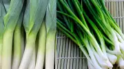 Leeks vs Green Onions: 5 Key Differences That Change Your Cooking