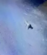 Leopard Spotted Again at Army War College, Mhow After Nearly a Year