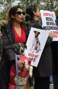 Lucknow Activists Form Human Chain Against SC Dog Removal Order, Demand Humane ABC Rules