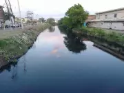 Ludhiana Activists Protest at PPCB, Demand Closure of Toxic Dyeing Plant Outlets