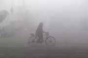 Ludhiana Fog Crisis: Missing Bicycle Reflectors Pose Grave Road Safety Threat
