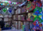 Ludhiana's Banned Chinese Manjha Kills 250+ Birds, Injures Hundreds