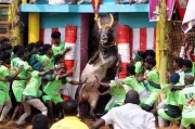Madurai Jallikattu Tragedy: Elderly Spectator Dies After Bull Attack at Palamedu Event