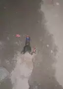 Madurai Night of Violence: Petrol Bombs Hurled, Two Men Hacked in Separate Incidents