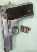 Madurai Police Seize Country-Made Gun, Arrest Five in Early Morning Raid