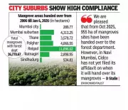 Maharashtra Transfers 955 Hectares of Mangroves to Forest Dept, HC Monitors Compliance