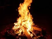 Makar Sankranti 2026: Celebrating India's Harvest Festival on January 15