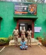 Man Arrested for Elephant Death in Sathyamangalam Tiger Reserve