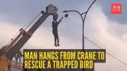 Man Risks Life on Crane to Rescue Bird Trapped in Wires; Video Goes Viral