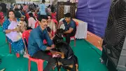 Mangaluru's Canine Extravaganza: Dog Show Captivates Animal Lovers