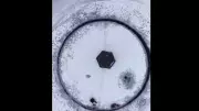 Man's Perfect Ice Circle Video Goes Viral: 20M+ Views for Calm Craft