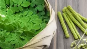 Moringa Leaves: 5 Powerful Health Benefits & How to Consume Them