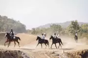 Nagpur Hosts Historic First 20km Horse Endurance Ride in Vidarbha Region