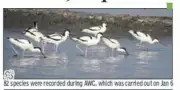 Najafgarh Wetland Sees Bird Count Surge to 19,000, Climate Change Plays Role