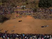 Nepali Villagers Fight to Preserve Ancient Bull Fighting Tradition