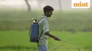 New Pesticides Bill 2025: Stricter Penalties for Fake Products to Protect Indian Farmers