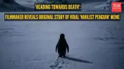 Nihilist Penguin Meme: The Viral Story Behind the Lonely Antarctic Wanderer