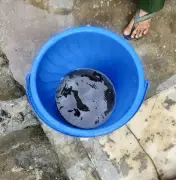 Noida Residents Fall Ill as Contaminated Water Crisis Worsens in Alpha 2 Sector