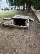 Noida Sector 19 Park and Gym in Shambles, Residents Demand Urgent Action