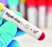 Odisha Issues Nipah Virus Alert After West Bengal Cases, Health Minister Urges Calm