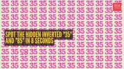 Optical Illusion Test: Can You Spot Inverted 35 & 85 in 8 Seconds?