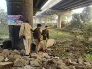 Patna STF Shoots Extortion Accused Targeting Ex-DGP's Family