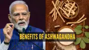 PM Modi Highlights Surging Global Demand for Ashwagandha: 4 Easy Ways to Incorporate It Daily