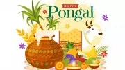 Pongal 2024: A Four-Day Harvest Festival Celebrating Sun God and Tamil Traditions