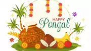 Pongal 2026: Celebrating Harvest, Gratitude, and Tamil Traditions