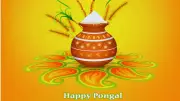 Pongal 2026: Celebrating Harvest, Gratitude and Traditions in South India