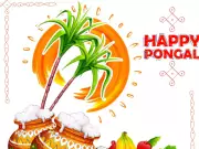 Pongal Festival: Celebrating Sun God with Harvest Rituals Across India