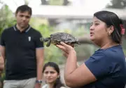 Pune's Petting Farms Offer Mental Wellness Break from City Life