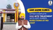 Punjab's Aam Aadmi Clinics Now Provide Free Dog Bite & Anti-Rabies Treatment